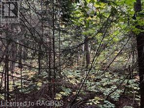 7 Shore Road, Saugeen Shores, Ontario  N0H 2L0 - Photo 4 - X10846257