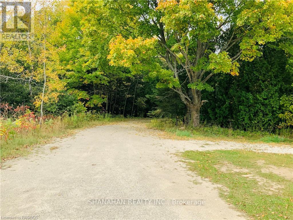 20 Cape Hurd Road S, Northern Bruce Peninsula, Ontario  N0H 2R0 - Photo 6 - X10846542