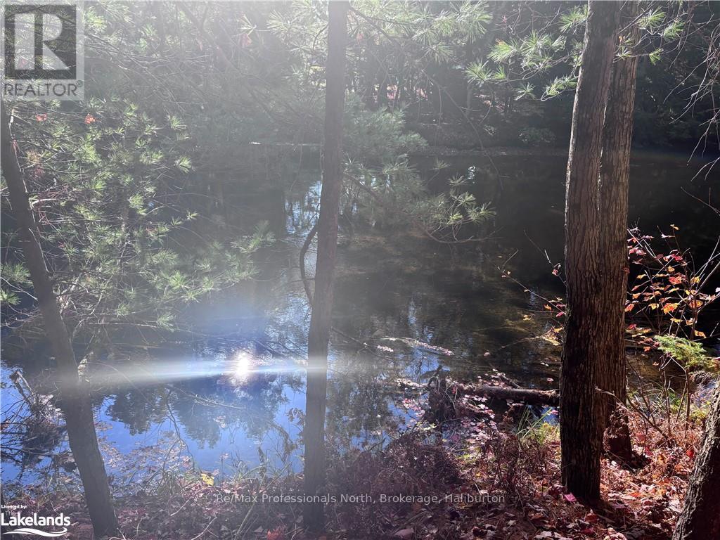 Lot 1 N/a, Algonquin Highlands, Ontario  K0M 1J2 - Photo 10 - X10436562