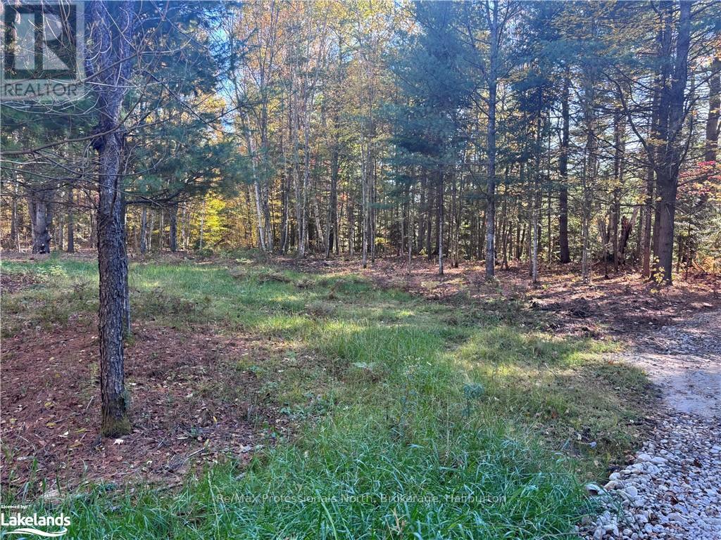 Lot 1 N/a, Algonquin Highlands, Ontario  K0M 1J2 - Photo 7 - X10436562