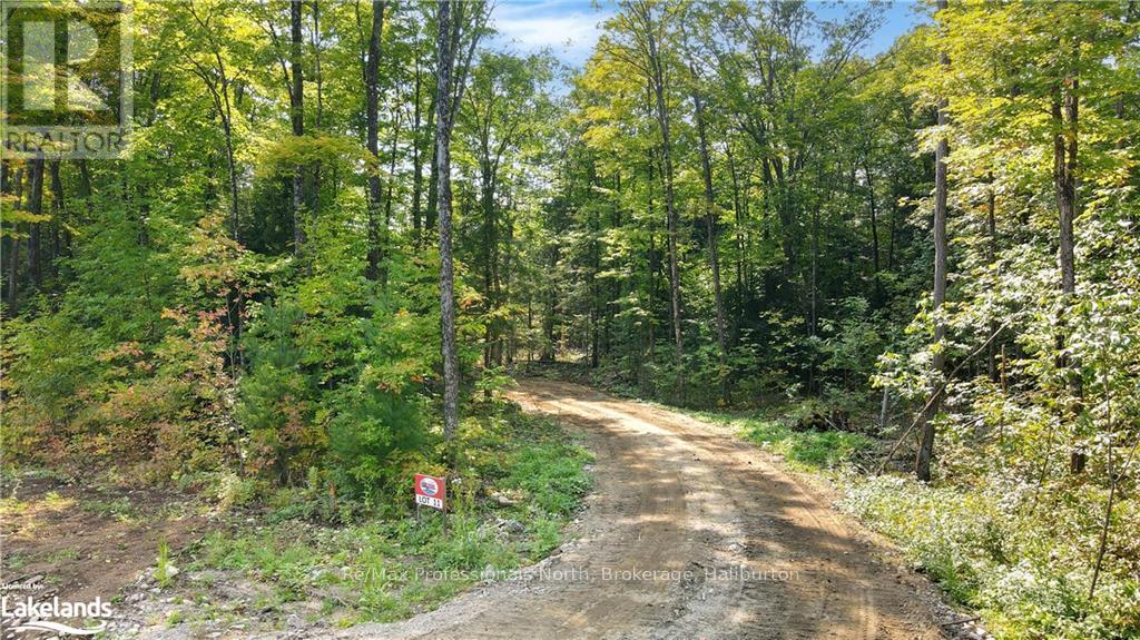 Lot 11 N/a, Algonquin Highlands, Ontario  K0M 1J2 - Photo 1 - X10436583