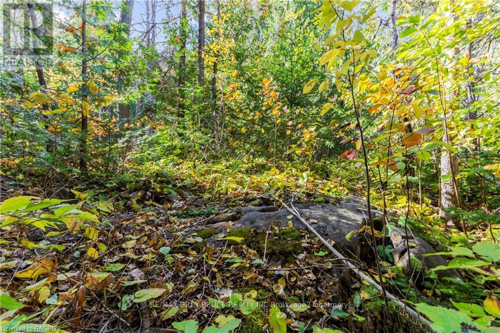 Pt Lt 4 Nicholas Street, Northern Bruce Peninsula, Ontario  N0H 2R0 - Photo 18 - X10846869
