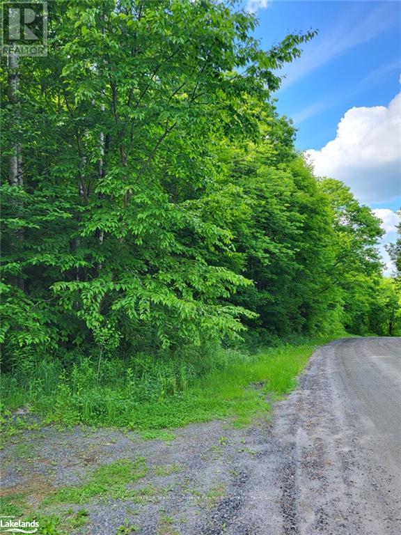0 HAINES LAKE ROAD, McDougall, Ontario