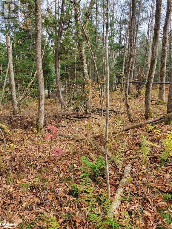 0 Haines Lake Road, Mcdougall, Ontario  P2A 0B3 - Photo 3 - X10438057