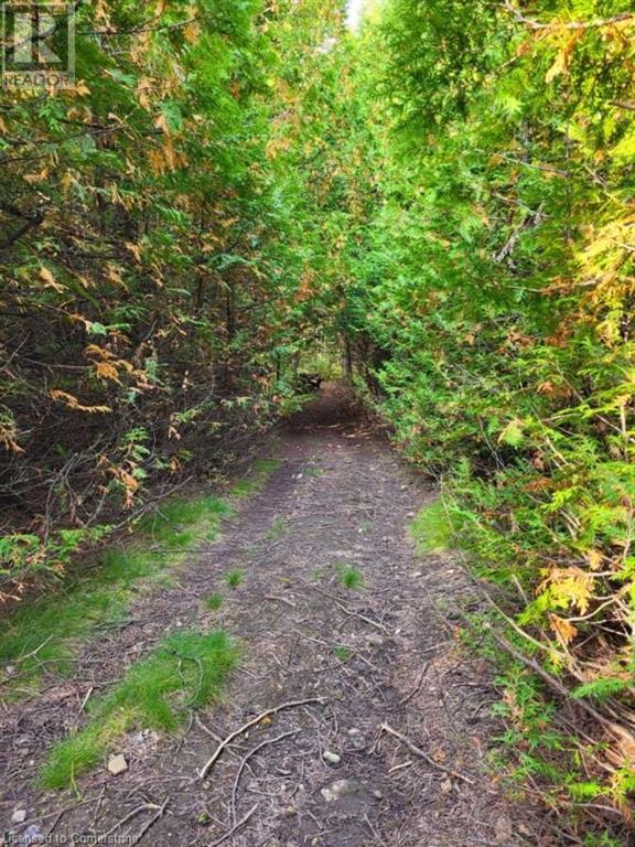 495144 Traverston Road, Markdale, Ontario  N0H 2C4 - Photo 13 - 40668763