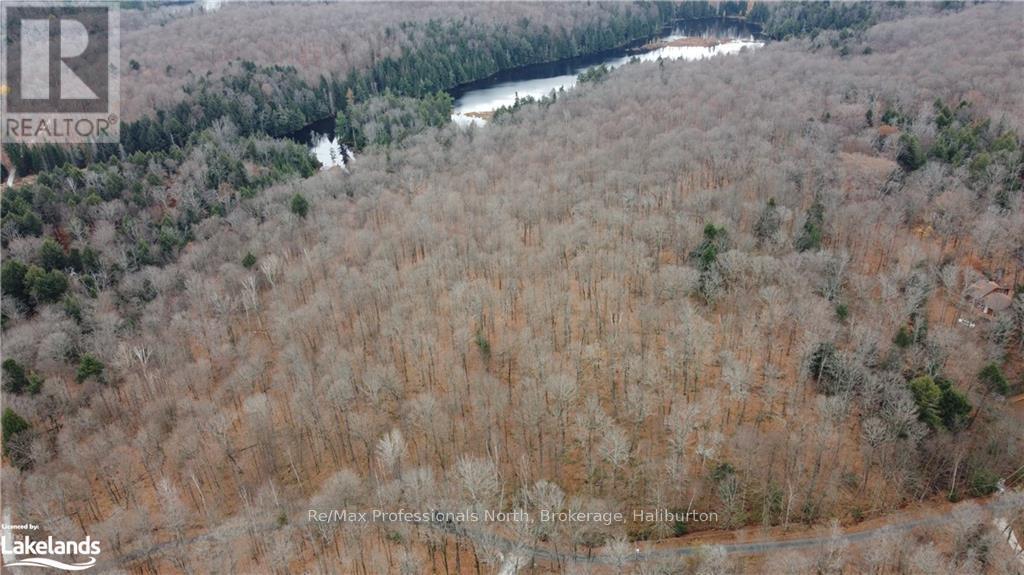 0 Basshaunt Lake Road, Dysart Et Al, Ontario  K0M 1S0 - Photo 20 - X10438608