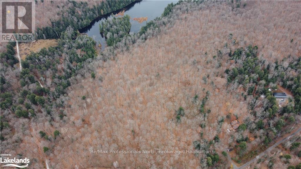 0 Basshaunt Lake Road, Dysart Et Al, Ontario  K0M 1S0 - Photo 24 - X10438608