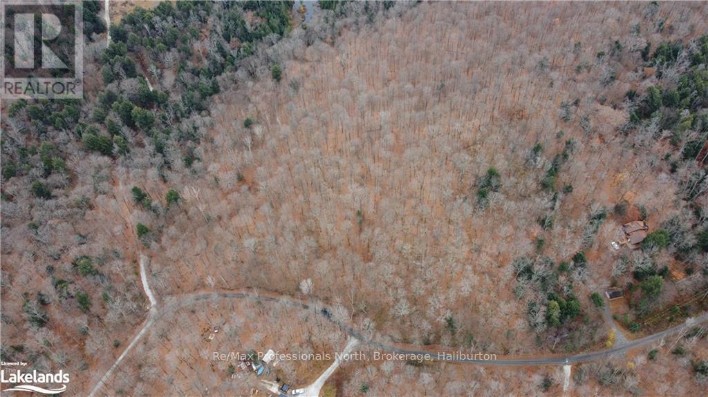 0 Basshaunt Lake Road, Dysart Et Al, Ontario  K0M 1S0 - Photo 31 - X10438608
