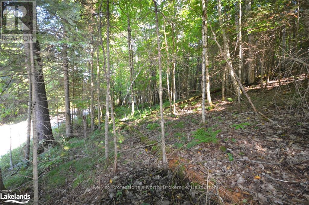0 Fred Jones Road, Dysart Et Al, Ontario  K0M 1S0 - Photo 11 - X10436177