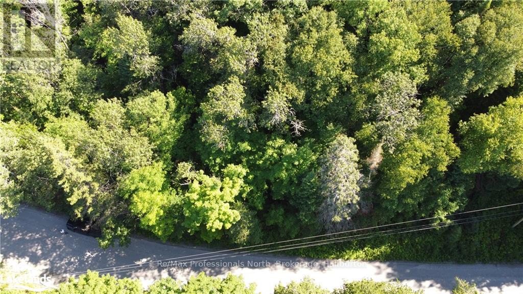 0 Fred Jones Road, Dysart Et Al, Ontario  K0M 1S0 - Photo 14 - X10436177