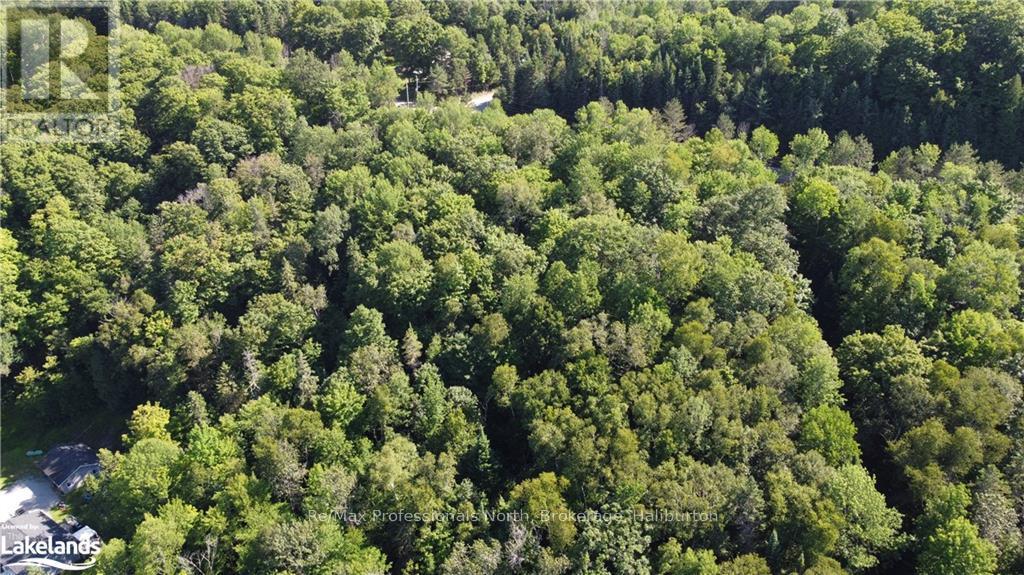 0 Fred Jones Road, Dysart Et Al, Ontario  K0M 1S0 - Photo 22 - X10436177