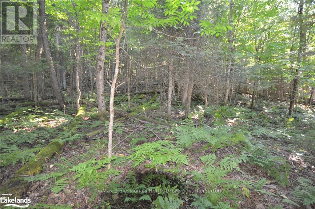 0 Fred Jones Road, Dysart Et Al, Ontario  K0M 1S0 - Photo 5 - X10436177