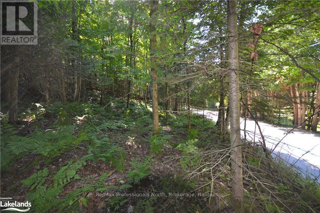 0 Fred Jones Road, Dysart Et Al, Ontario  K0M 1S0 - Photo 6 - X10436177
