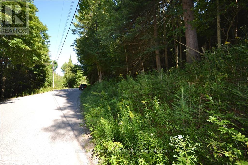 0 Fred Jones Road, Dysart Et Al, Ontario  K0M 1S0 - Photo 7 - X10436177