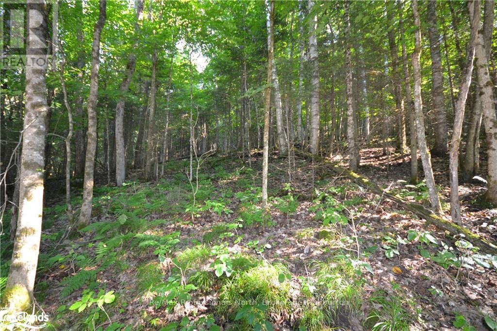 0 Fred Jones Road, Dysart Et Al, Ontario  K0M 1S0 - Photo 9 - X10436177