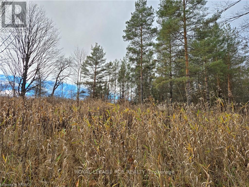 Lt 8 Ws Highway 6, Chatsworth, Ontario  N0H 2V0 - Photo 3 - X11822928