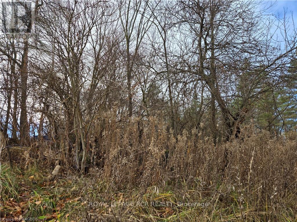 Lt 8 Ws Highway 6, Chatsworth, Ontario  N0H 2V0 - Photo 4 - X11822928