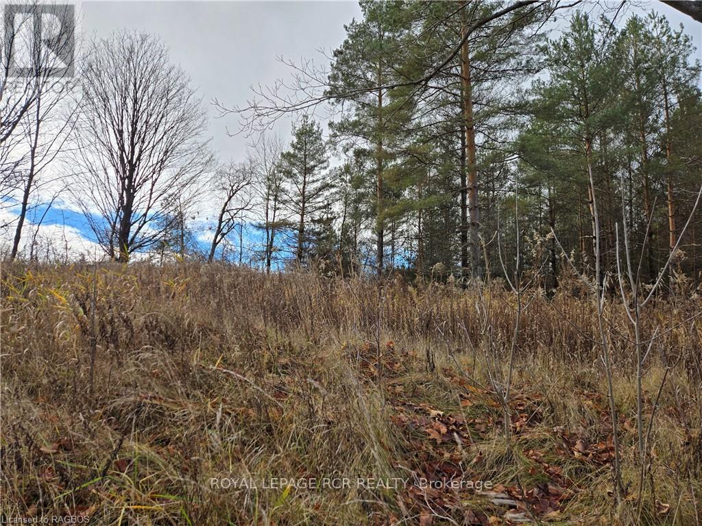 Lt 8 Ws Highway 6, Chatsworth, Ontario  N0H 2V0 - Photo 6 - X11822928