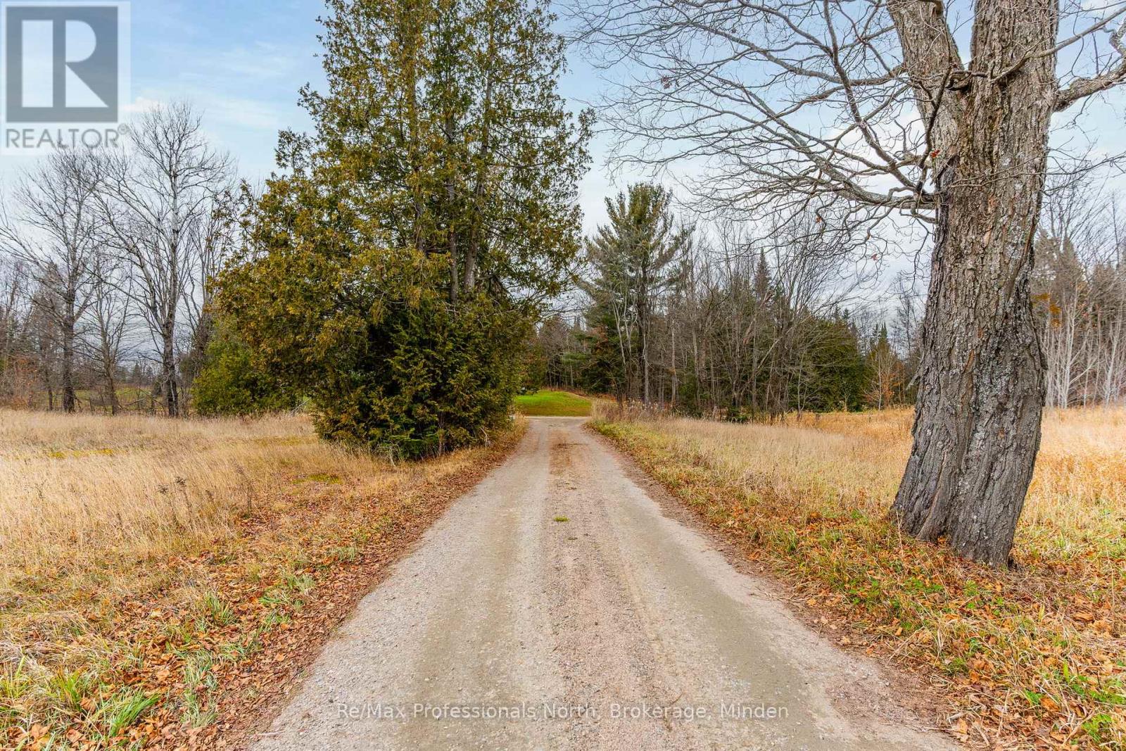 1047 Mccrea Road, Highlands East, Ontario  K0L 2Y0 - Photo 3 - X11822936