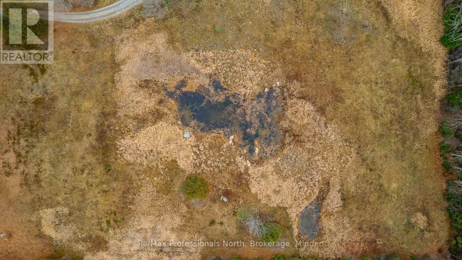 1047 Mccrea Road, Highlands East, Ontario  K0L 2Y0 - Photo 41 - X11822936