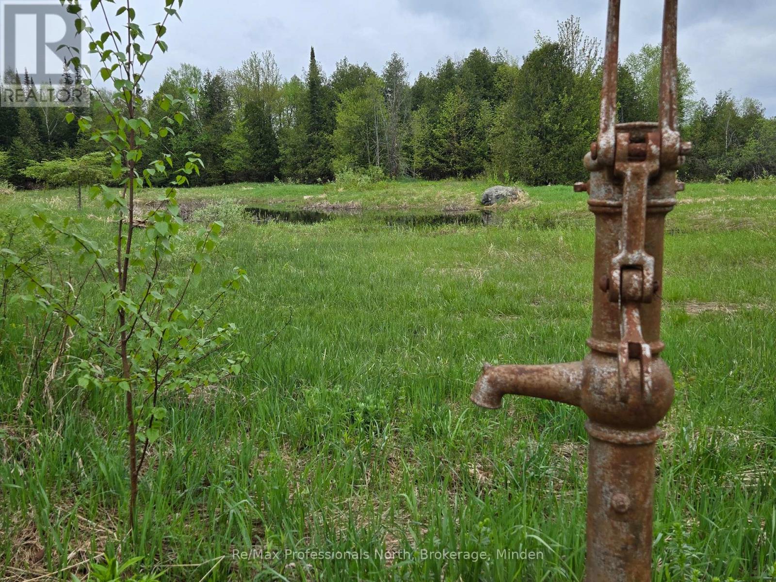 1047 Mccrea Road, Highlands East, Ontario  K0L 2Y0 - Photo 43 - X11822936