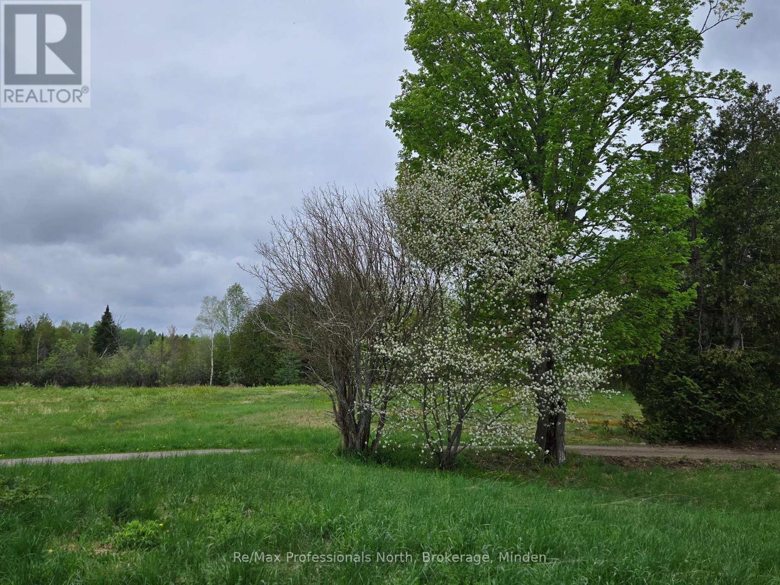 1047 Mccrea Road, Highlands East, Ontario  K0L 2Y0 - Photo 45 - X11822936