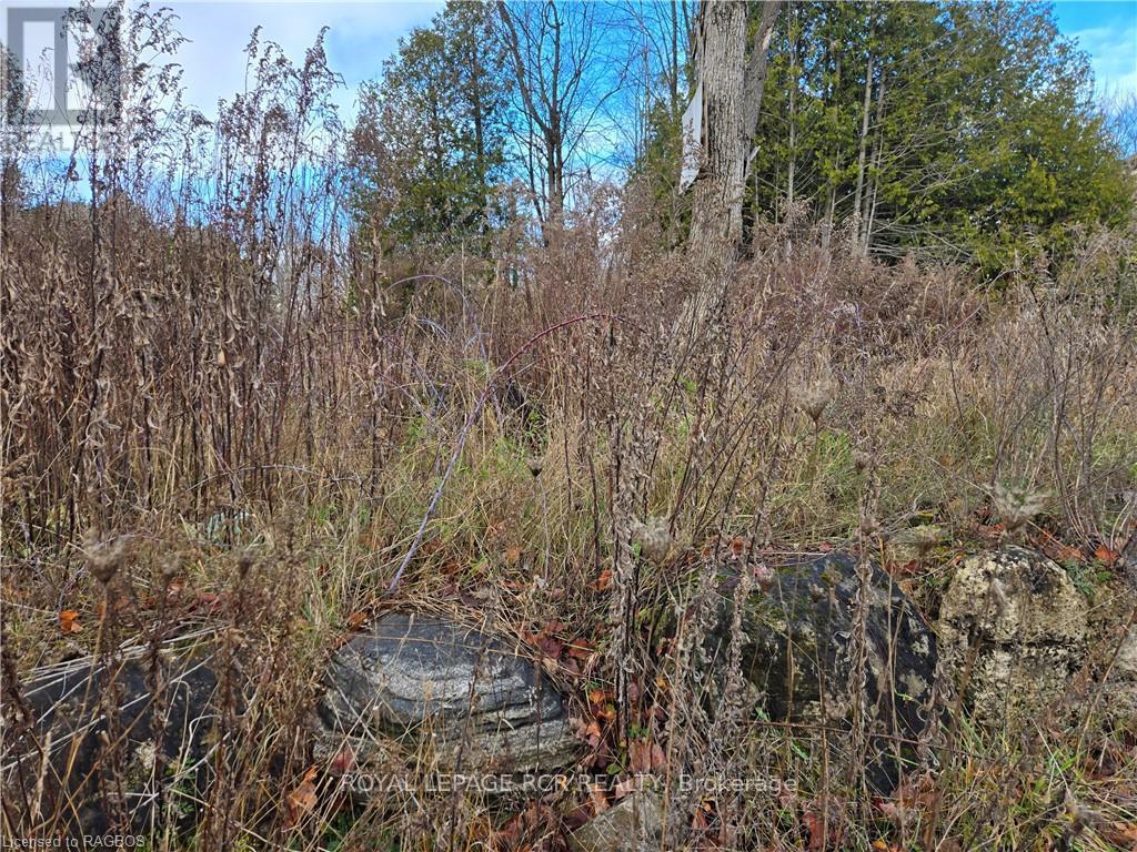 Ptlt8es Salter Street, Chatsworth, Ontario  N0H 2V0 - Photo 11 - X11822940