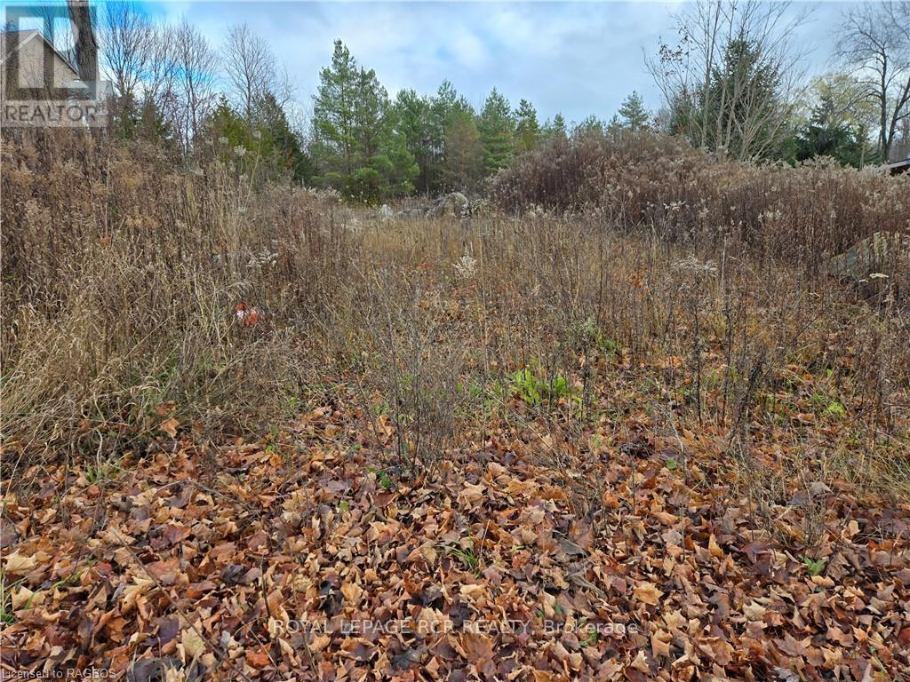 Ptlt8es Salter Street, Chatsworth, Ontario  N0H 2V0 - Photo 12 - X11822940