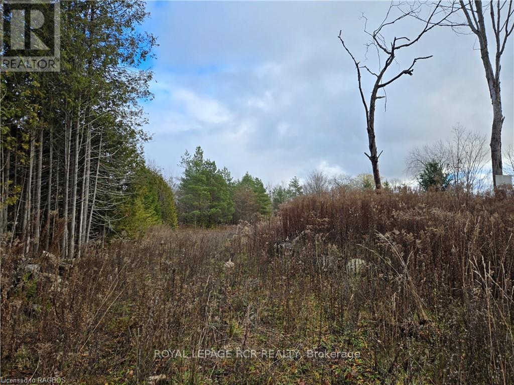 Ptlt8es Salter Street, Chatsworth, Ontario  N0H 2V0 - Photo 2 - X11822940