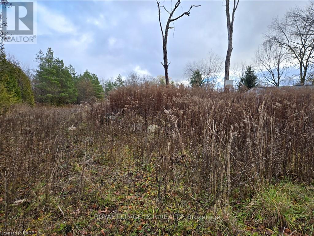 Ptlt8es Salter Street, Chatsworth, Ontario  N0H 2V0 - Photo 3 - X11822940