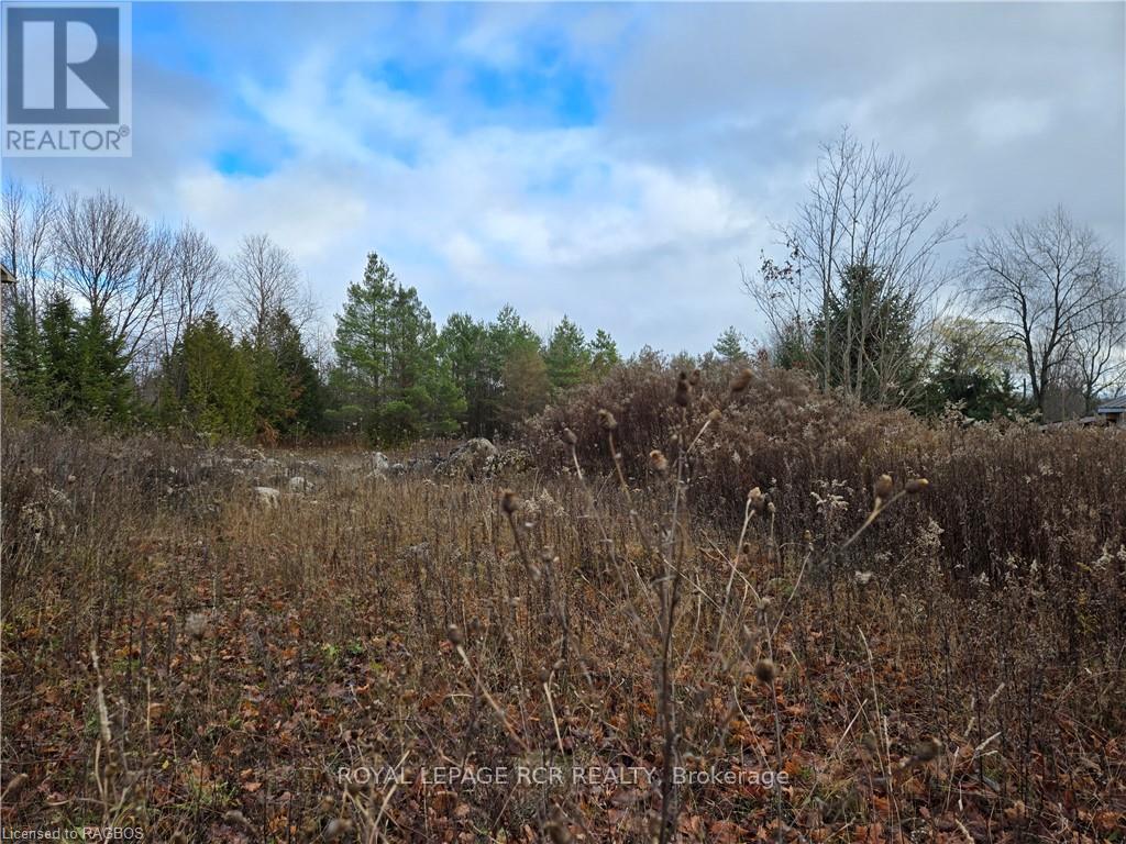 Ptlt8es Salter Street, Chatsworth, Ontario  N0H 2V0 - Photo 4 - X11822940