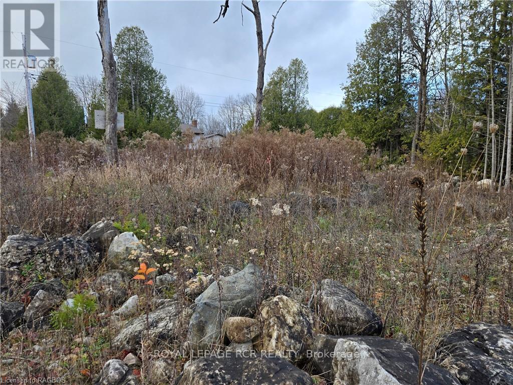 Ptlt8es Salter Street, Chatsworth, Ontario  N0H 2V0 - Photo 9 - X11822940