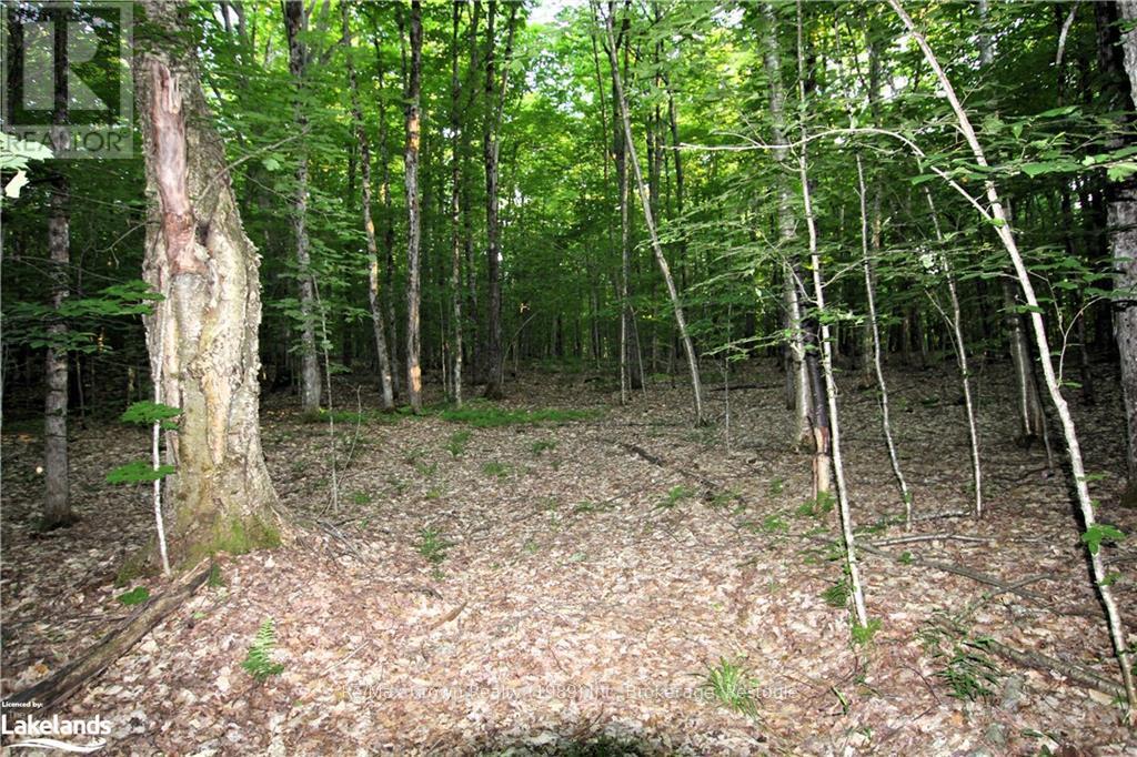 0a Pilgers Road, Nipissing, Ontario  P0H 1J0 - Photo 20 - X10437621