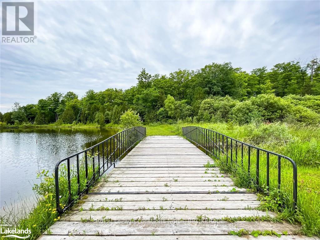 545413 4a Side Road N, Grey Highlands, Ontario  N0C 1H0 - Photo 34 - X10895595