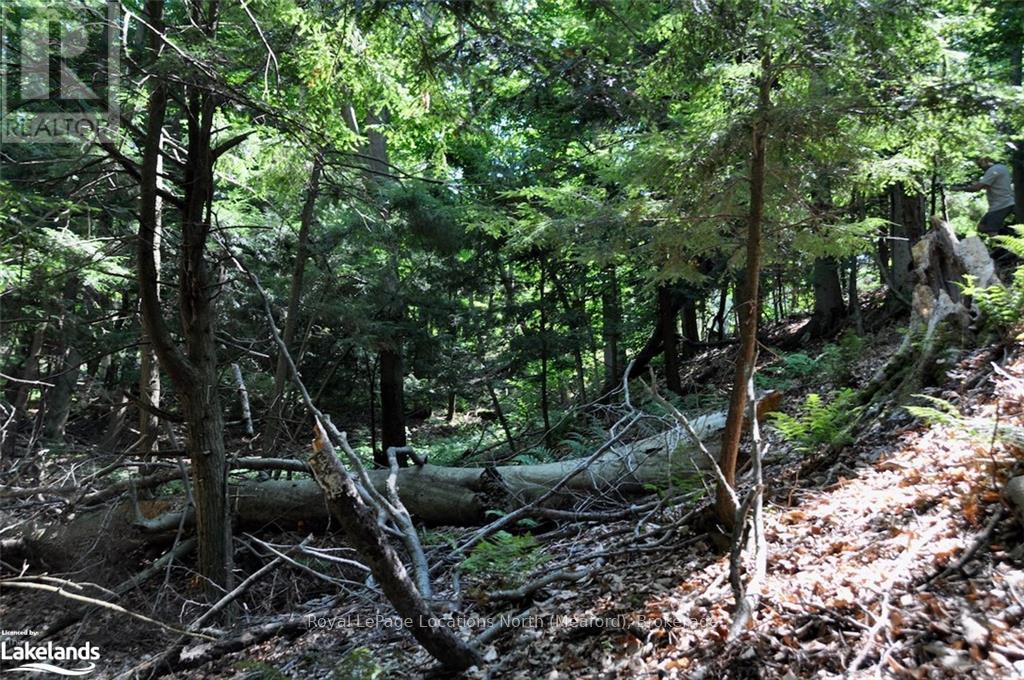 Lot 21 Bayshore Road, Meaford, Ontario  N0H 1B0 - Photo 10 - X10902644