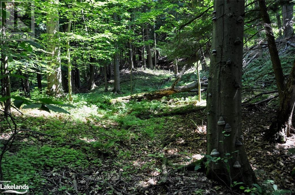 Lot 21 Bayshore Road, Meaford, Ontario  N0H 1B0 - Photo 11 - X10902644