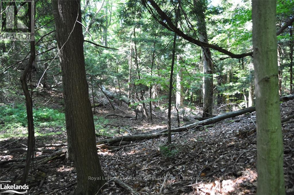 Lot 21 Bayshore Road, Meaford, Ontario  N0H 1B0 - Photo 12 - X10902644