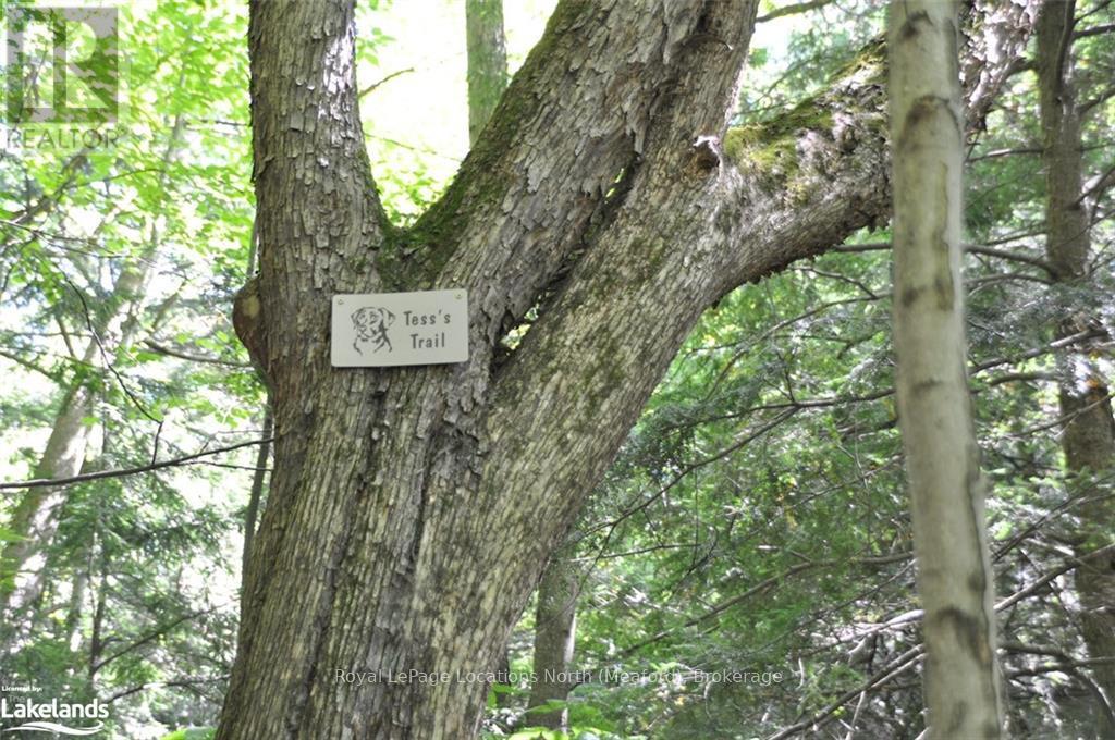 Lot 21 Bayshore Road, Meaford, Ontario  N0H 1B0 - Photo 13 - X10902644