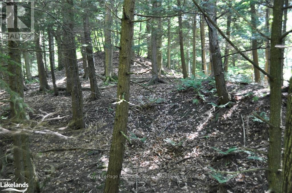 Lot 21 Bayshore Road, Meaford, Ontario  N0H 1B0 - Photo 15 - X10902644