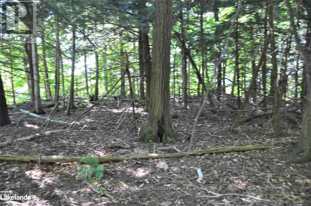 Lot 21 Bayshore Road, Meaford, Ontario  N0H 1B0 - Photo 5 - X10902644