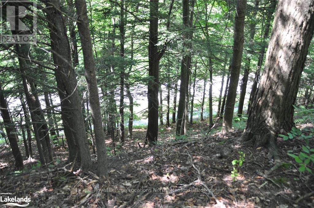 Lot 21 Bayshore Road, Meaford, Ontario  N0H 1B0 - Photo 6 - X10902644
