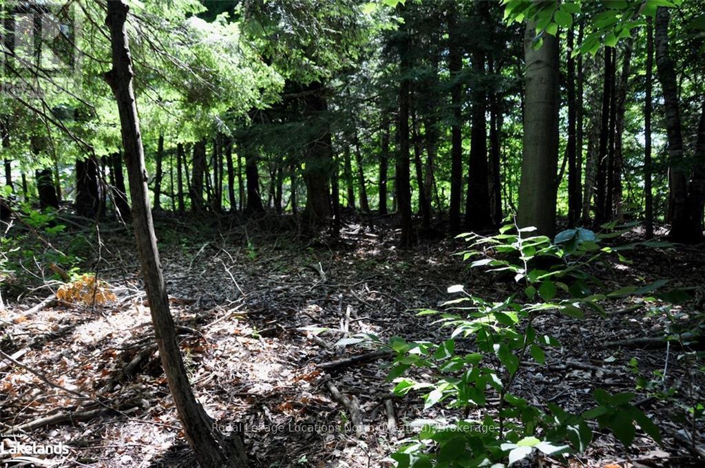 Lot 21 Bayshore Road, Meaford, Ontario  N0H 1B0 - Photo 7 - X10902644