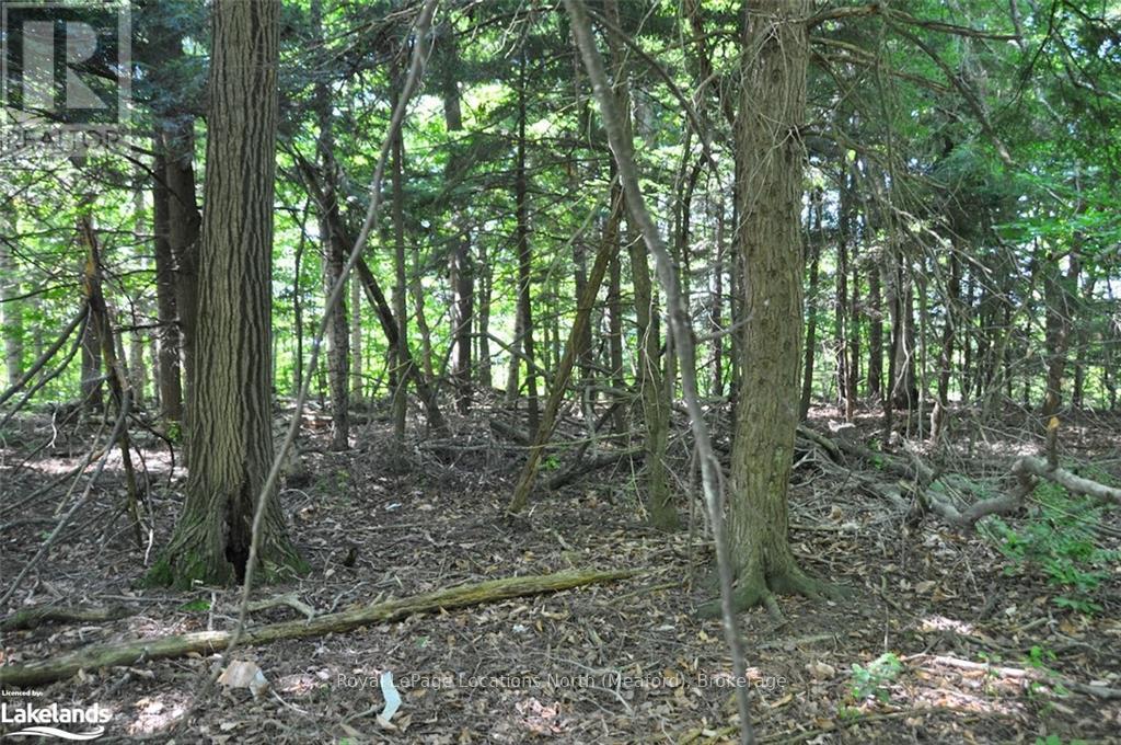 Lot 21 Bayshore Road, Meaford, Ontario  N0H 1B0 - Photo 8 - X10902644