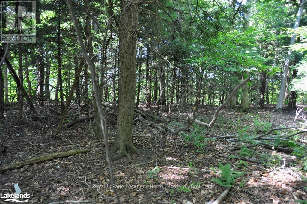 Lot 21 Bayshore Road, Meaford, Ontario  N0H 1B0 - Photo 9 - X10902644
