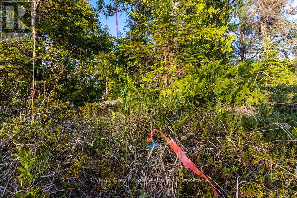 Unit 39 Tamarac Road, Northern Bruce Peninsula, Ontario  N0H 2M0 - Photo 15 - X11913101