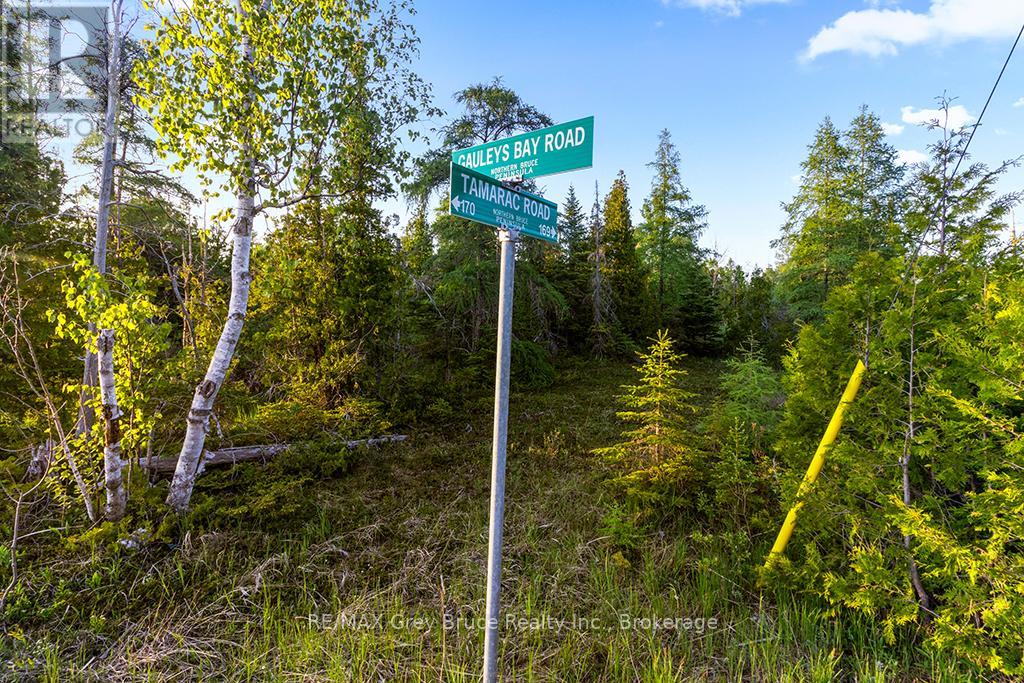 Unit 39 Tamarac Road, Northern Bruce Peninsula, Ontario  N0H 2M0 - Photo 16 - X11913101