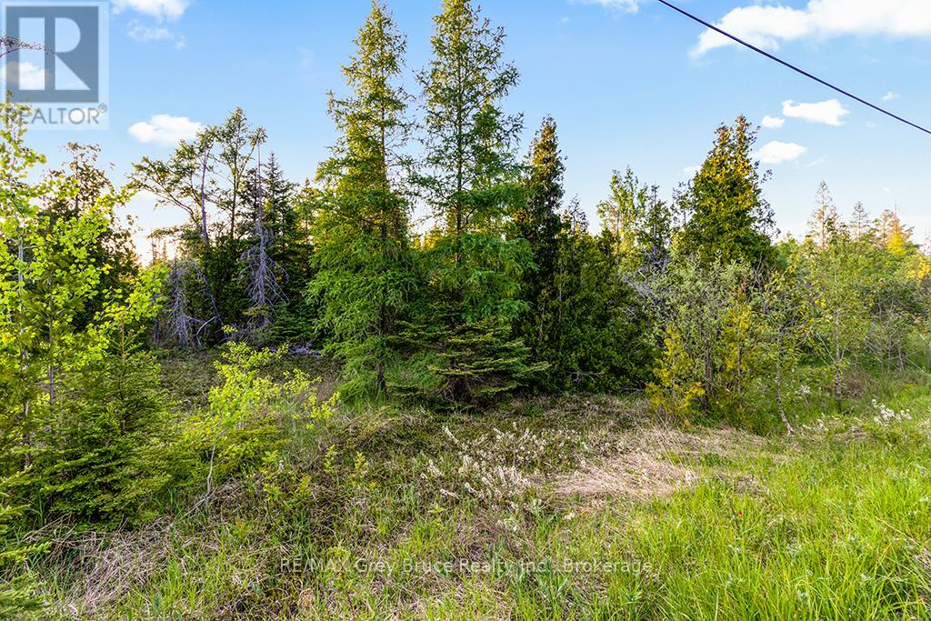 Unit 39 Tamarac Road, Northern Bruce Peninsula, Ontario  N0H 2M0 - Photo 17 - X11913101