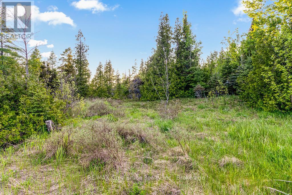 Unit 39 Tamarac Road, Northern Bruce Peninsula, Ontario  N0H 2M0 - Photo 20 - X11913101