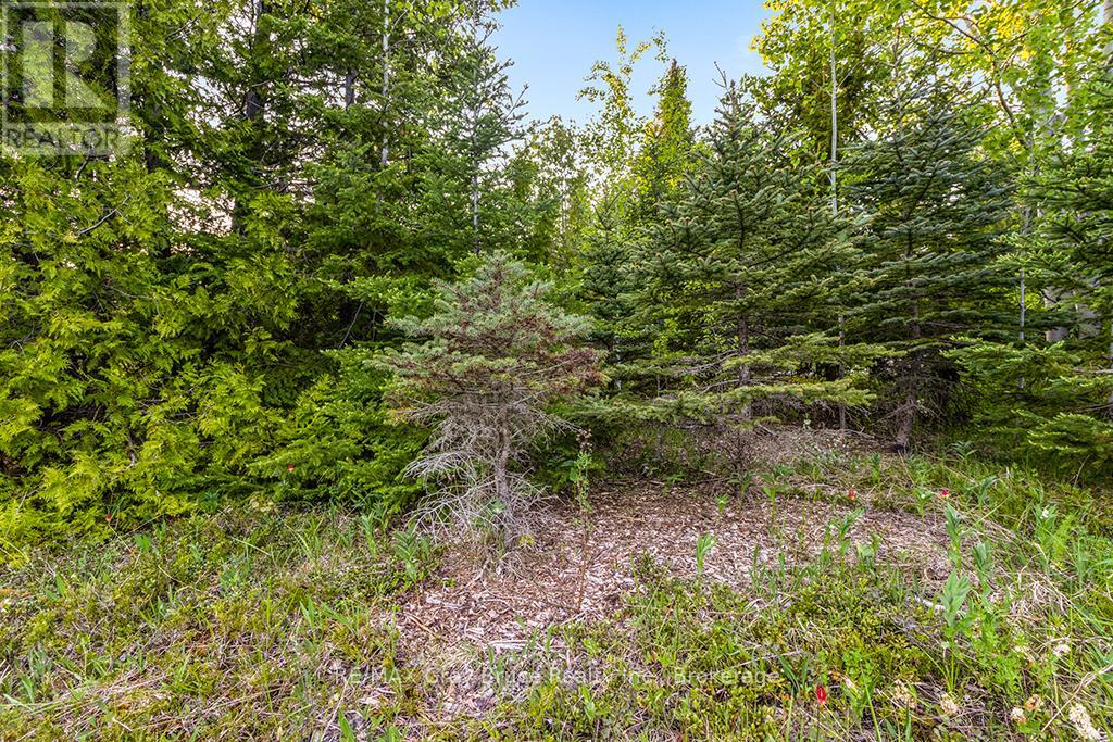 Unit 39 Tamarac Road, Northern Bruce Peninsula, Ontario  N0H 2M0 - Photo 21 - X11913101