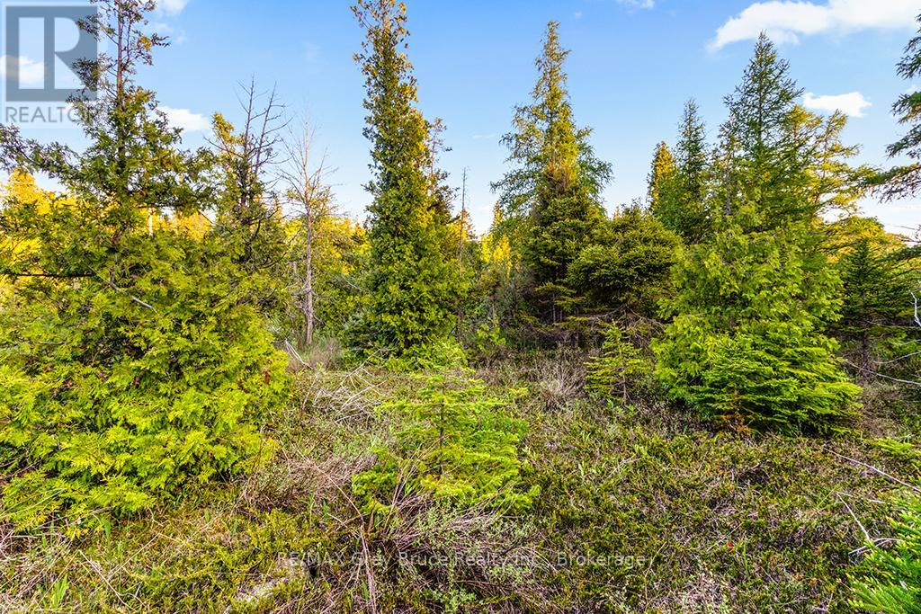 Unit 39 Tamarac Road, Northern Bruce Peninsula, Ontario  N0H 2M0 - Photo 23 - X11913101